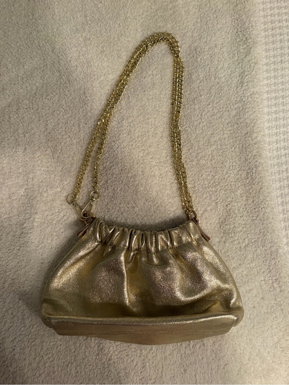 Metallic Leather Bag
